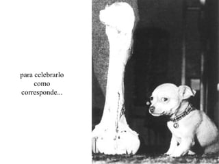 para celebrarlo
     como
corresponde...
 