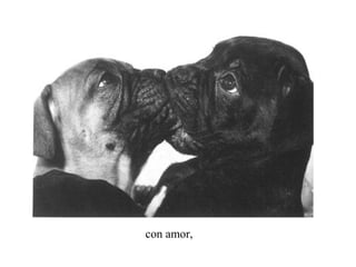 con amor,
 