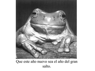 Que este año nuevo sea el año del gran
                salto.
 