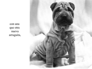 con una
que otra
  nueva
arruguita,
 