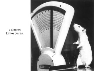 y algunos
kilitos demás.
 