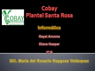 Cobay Plantel Santa Rosa InformáticaGeysi AnconaDiana Gaspar1º QISC. María del Rosario Raygoza Velázquez  