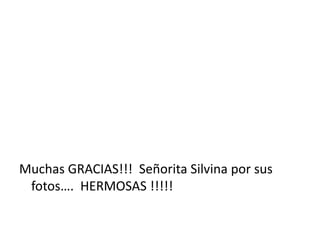 Muchas GRACIAS!!! Señorita Silvina por sus
fotos…. HERMOSAS !!!!!

 