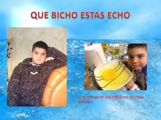 ESTE HUEVO DE AVEZTRUZ ME LO COMI
ENTERO
 