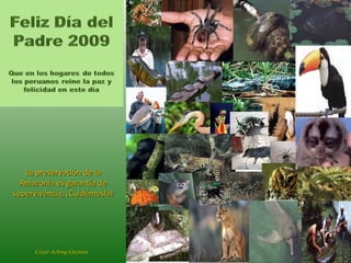 La preservación de la Amazonía es garantía de supervivencia, ¡Cuidémosla! César Aching Guzmán 