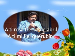 Copyright © Wondershare Software
 