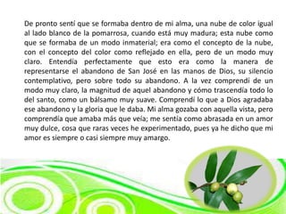 De pronto sentí que se formaba dentro de mi alma, una nube de color igual
al lado blanco de la pomarrosa, cuando está muy madura; esta nube como
que se formaba de un modo inmaterial; era como el concepto de la nube,
con el concepto del color como reflejado en ella, pero de un modo muy
claro. Entendía perfectamente que esto era como la manera de
representarse el abandono de San José en las manos de Dios, su silencio
contemplativo, pero sobre todo su abandono. A la vez comprendí de un
modo muy claro, la magnitud de aquel abandono y cómo trascendía todo lo
del santo, como un bálsamo muy suave. Comprendí lo que a Dios agradaba
ese abandono y la gloria que le daba. Mi alma gozaba con aquella vista, pero
comprendía que amaba más que veía; me sentía como abrasada en un amor
muy dulce, cosa que raras veces he experimentado, pues ya he dicho que mi
amor es siempre o casi siempre muy amargo.
 