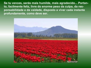 Se tu vences, serás mais humilde, mais agradecido... Portan-to, facilmente feliz, livre do enorme peso da culpa, da res-ponsabilidade e da vaidade, disposto a viver cada instante profundamente, como deve ser.  