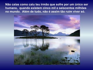 Não caias como caiu teu irmão que sofre por um único ser  humano,  quando existem cinco mil e seiscentos milhões no mundo.  Além de tudo, não é assim tão ruim viver só. 
