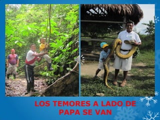 LOS TEMORES A LADO DE
PAPA SE VAN
 