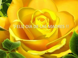 FELIZ DIA DE LAS MADRES !!
 