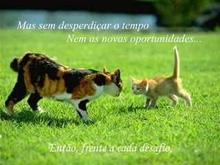 Então, frente a cada desafio, Mas sem desperdiçar o tempo Nem as novas oportunidades... 