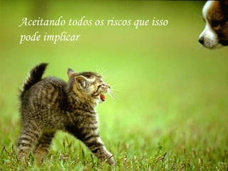 Aceitando todos os riscos que isso pode implicar 