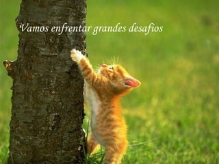 Vamos enfrentar grandes desafios 