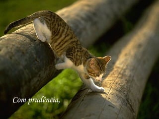Com prudência, 