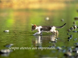 Sempre atentos aos imprevistos... 