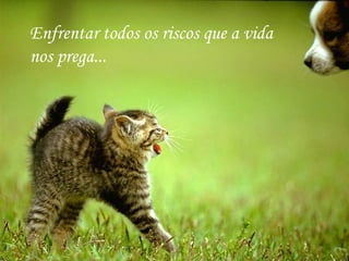 Enfrentar todos os riscos que a vida
nos prega...
 