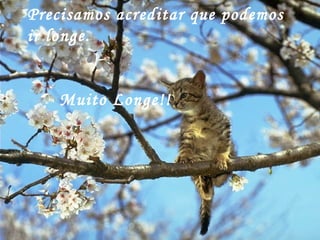 Precisamos acreditar que podemos
ir longe.

Muito Longe!!

http://www.wmnett.com.br

 