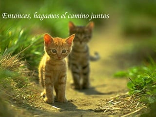 Entonces, hagamos el camino juntos 