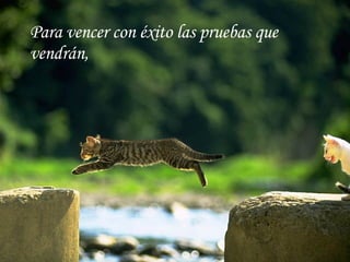 Para vencer con éxito las pruebas que vendrán, 