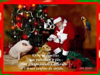 Entre as famílias que partilham o pão, na grande cidade e arredores e nos confins do sertão. 