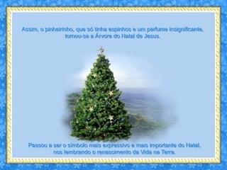 Assim, o pinheirinho, que só tinha espinhos e um perfume insignificante,
                  tornou-se a Árvore do Natal de Jesus.




  Passou a ser o símbolo mais expressivo e mais importante do Natal,
           nos lembrando o renascimento da Vida na Terra.
 