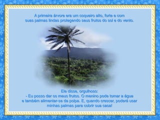 A primeira árvore era um coqueiro alto, forte e com
 suas palmas lindas protegendo seus frutos do sol e do vento.




                      Ele disse, orgulhoso:
   - Eu posso dar os meus frutos. O menino pode tomar a água
e também alimentar-se da polpa. E, quando crescer, poderá usar
              minhas palmas para cobrir sua casa!
 