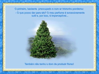 O pinheiro, bastante preocupado e com ar tristonho ponderou:
- O que posso dar para ele? O meu perfume é excessivamente
              sutil e, por isso, é imperceptível...




        Também não tenho o dom de produzir flores!
 