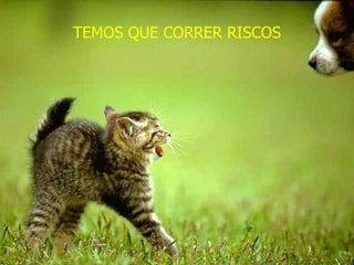 TEMOS QUE CORRER RISCOS