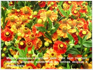 Muitas pessoas caminham pela vida sem nenhum
objetivo, somente sobrevivem às rotinas ociosas e
incansáveis.