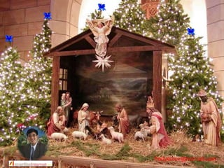 fredyemcv@hotmail.com