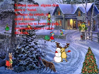 Faltam apenas alguns dias
para o Natal.
As luzes da cidade já
estão acesas.
A natureza se veste de gala,
ostentando luzes e cores
diversas
 