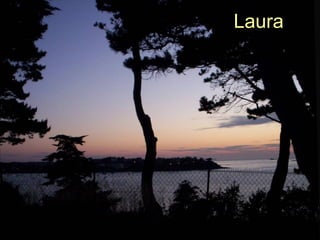 Laura   Laura
 