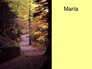 María
 