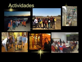 Actividades
 