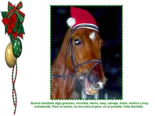 Quería mandarte algo gracioso, increíble, tierno, sexy, salvaje, dulce, erótico y muy entretenido. Pero lo siento, no me entra el pene  en la pantalla. Feliz Navidad.  