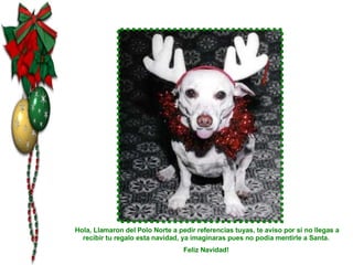Hola, Llamaron del Polo Norte a pedir referencias tuyas, te aviso por si no llegas a recibir tu regalo esta navidad, ya imaginaras pues no podia mentirle a Santa.  Feliz Navidad!  