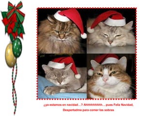 ¿ya estamos en navidad…? Ahhhhhhhhh… pues Feliz Navidad, Despertadme para comer las sobras 