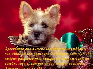 Recordarte que aunque las personas cambian y sus vidas se reorganizan, los amigos deberían ser amigos para siempre, aunque no tengan nada en común, solo el compartir los mismos recuerdos. Aprecio que estés ahí.   ...   