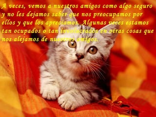 A veces, vemos a nuestros amigos como algo seguro y no les dejamos saber que nos preocupamos por ellos y que los apreciamos. Algunas veces estamos tan ocupados o tan involucrados en otras cosas que nos alejamos de nuestros amigos.  