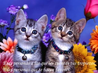 Esas personas a las que les cuentas tus tropiezos.  Esas personas que te hacen favores.  