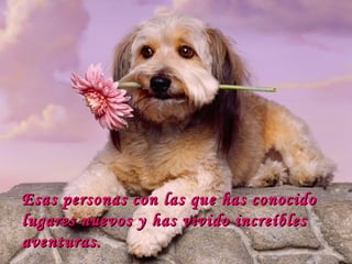 Esas personas con las que has conocido lugares nuevos y has vivido increíbles aventuras.  