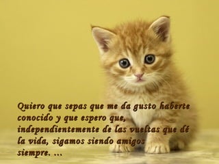 Quiero que sepas que me da gusto haberte conocido y que espero que, independientemente de las vueltas que dé la vida, sigamos siendo amigos siempre. ...  