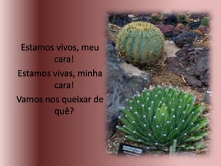 Estamos vivos, meu
cara!
Estamos vivas, minha
cara!
Vamos nos queixar de
quê?
 