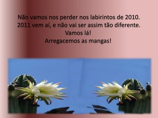 Não vamos nos perder nos labirintos de 2010.
2011 vem aí, e não vai ser assim tão diferente.
Vamos lá!
Arregacemos as mangas!
 