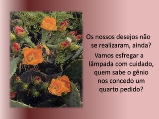 Os nossos desejos não
se realizaram, ainda?
Vamos esfregar a
lâmpada com cuidado,
quem sabe o gênio
nos concedo um
quarto pedido?
 