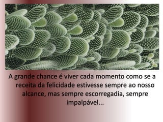 A grande chance é viver cada momento como se a
receita da felicidade estivesse sempre ao nosso
alcance, mas sempre escorregadia, sempre
impalpável...
 