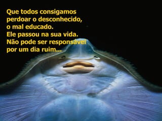 Que todos consigamos  perdoar o desconhecido,  o mal educado.  Ele passou na sua vida.  Não pode ser responsável  por um dia ruim...  