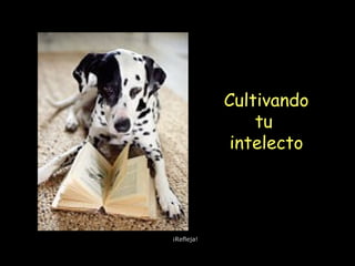 Cultivando
tu
intelecto
¡Refleja!
 