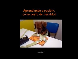 Aprendiendo a recibir,
como gesto de humildad
¡Refleja!
 